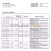 Pakistan Meezan bank statement template in Word and PDF format