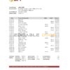Philippines Bank of the Philippine Islands bank statement Excel and PDF template