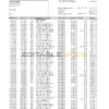 Philippines PNB bank statement template in Excel and PDF format (4 pages)