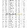 Philippines PNB bank statement template in Excel and PDF format (4 pages)