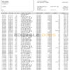 Philippines PNB bank statement template in Word and PDF format (4 pages)