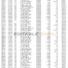 Philippines PNB bank statement template in Word and PDF format (4 pages)