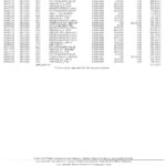 Philippines PNB bank statement template in Word and PDF format (4 pages)