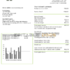 Philippines WeGen Energy Philippines utility bill template in Word and PDF format