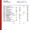 Philippines Bank of the Philippine Islands proof of address bank statement template in Word and PDF format