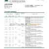 Portugal Banco Carregosa bank statement template in Excel and PDF format, .xls and .pdf format