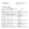 Saint Vincent and The Grenadines First Caribbean International Bank statement template in Word and PDF format