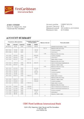 Saint Vincent and The Grenadines First Caribbean International Bank statement template in Word and PDF format