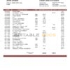 Saudi Arabia SABB bank statement template in Word and PDF format