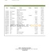 Saudi Arabia SNB bank statement template in Word and PDF format