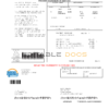 USA Florida Seco Energy utility bill template in Word and PDF format