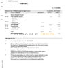 Singapore DBS bank statement template in Word and PDF format, 2 pages