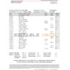 Singapore OCBC Bank statement template in Excel and PDF format