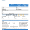 South Africa The GAS Company gas utility bill template in Word and PDF format