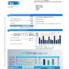 Spain Endesa luz utility bill template in Word and PDF format