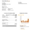 Spain Orange easy fillable utility bill template in Word and PDF format
