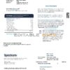 USA Spectrum utility bill template in Word and PDF format (4 pages)