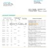 Sri Lanka Hatton National Bank statement template in Word and PDF format