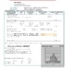 Switzerland Vitogaz Switzerland AG utility bill template, fully editable in Word and PDF format