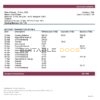 Thailand Caylon Bank statement template in Word and PDF format