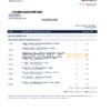 Singapore DBS bank proof of address statement template in .doc and .pdf format