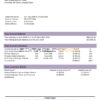 USA Truist bank proof of address statement template in Word and PDF format