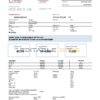 Turkey Gediz Elektrik utility bill template in Word and PDF format, fully editable