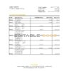 Turkey Odeabank bank statement, Excel and PDF template