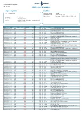Turkey Bankasi bank statement, Word and PDF template, 2 pages