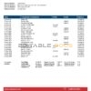 USA Capital One bank statement template, Word and PDF format (.doc and .pdf)