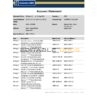 UAE Dubai Emirates NBD bank statement easy to fill template in Excel and PDF format
