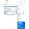United Kingdom Nationwide bank statement template in Excel and PDF file format