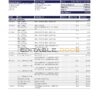United Kingdom Natwest bank statement template in Excel and PDF format (2 pages)