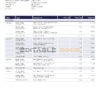 United Kingdom Natwest bank statement template in Word and PDF format (2 pages)