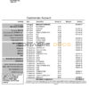 United Kingdom The Co-operative bank statement in Word and PDF format