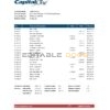 USA Capital One bank statement easy to fill template in Excel and PDF format