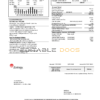 USA Entergy electricity utility bill template in Word and PDF format (2 pages)
