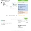 USA Wisconsin Alliant Energy electricity utility bill template in Word and PDF format