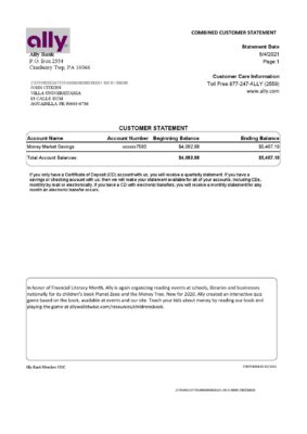 USA Ally Bank statement template in Excel and PDF format (4 pages)