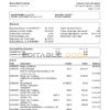 USA Ally Bank statement template in Excel and PDF format (4 pages)
