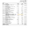 USA Ally Bank statement template in Excel and PDF format (4 pages)