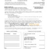 USA Ally Bank statement template in Excel and PDF format (4 pages)