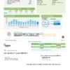 USA Ameren Missouri electricity utility bill template in Word and PDF format (2 pages)