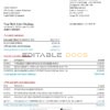 USA Bank of America bank statement template in Excel and PDF format, version 4