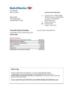 USA Bank of America bank statement easy to fill template in .xls and .pdf file format