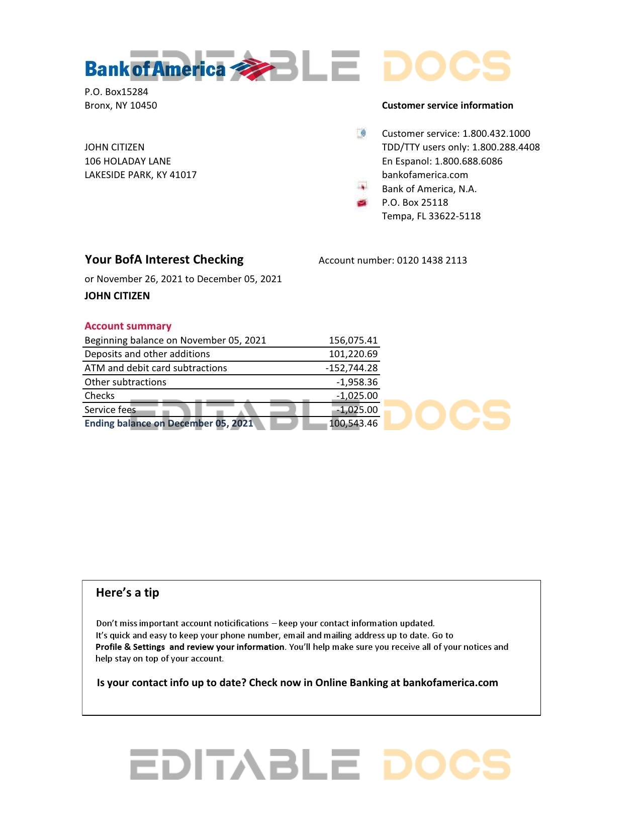 USA Bank of America bank statement easy to fill template in .xls and .pdf file format