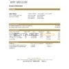 USA Bank of New York Mellon bank statement easy to fill template in Excel and PDF format