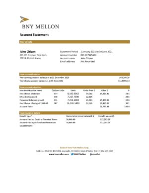 USA Editable Templates 11 USA Bank of New York Mellon bank statement easy to fill template in Excel and PDF format