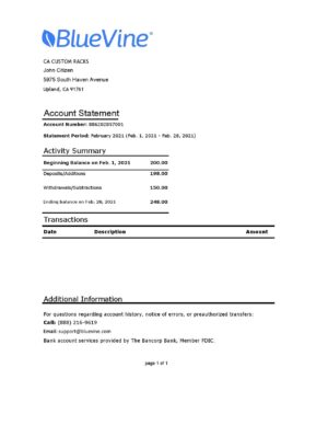 USA Editable Templates 3 USA California BlueVine bank statement easy to fill template in .xls and .pdf file format