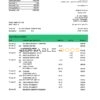 USA San Francisco Chime bank statement template in Excel and PDF format